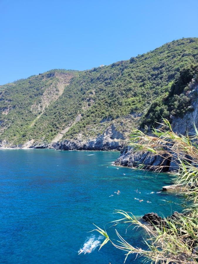 Апартаменты La Casa Di Walter Vicino Alle Cinque Terre Рикко-дель-Гольфо-ди-Специя Экстерьер фото